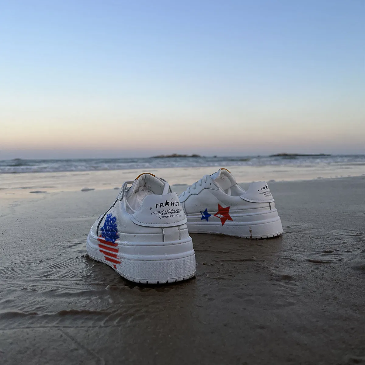 American Flag Low Top Sneaker