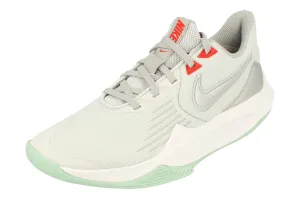 Nike Precision V Mens Basketball Trainers CW3403 002