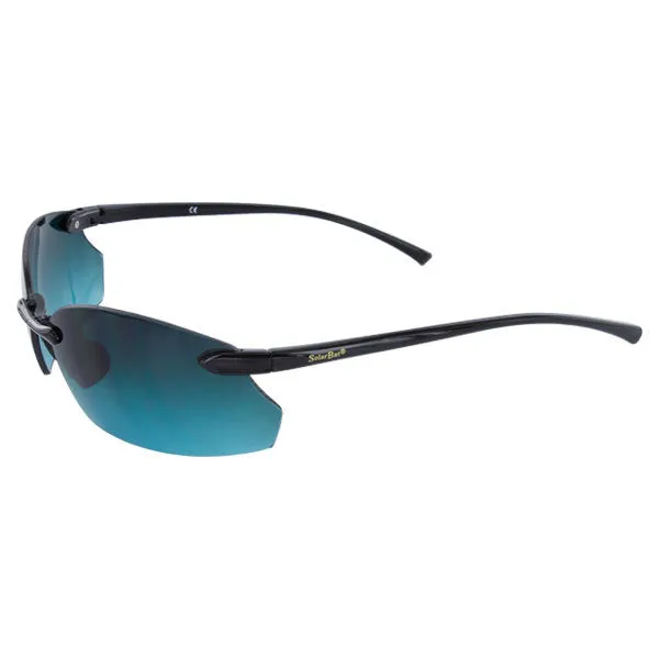 Pro Champion Sunglasses Black